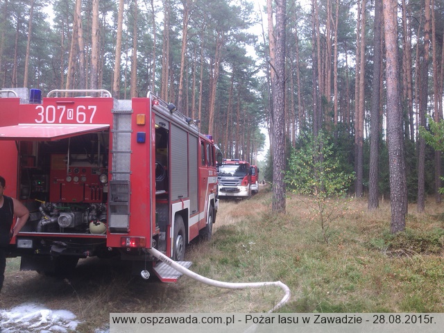 OSP Zawada - Pożar lasu w Zawadzie - 28.08.2015